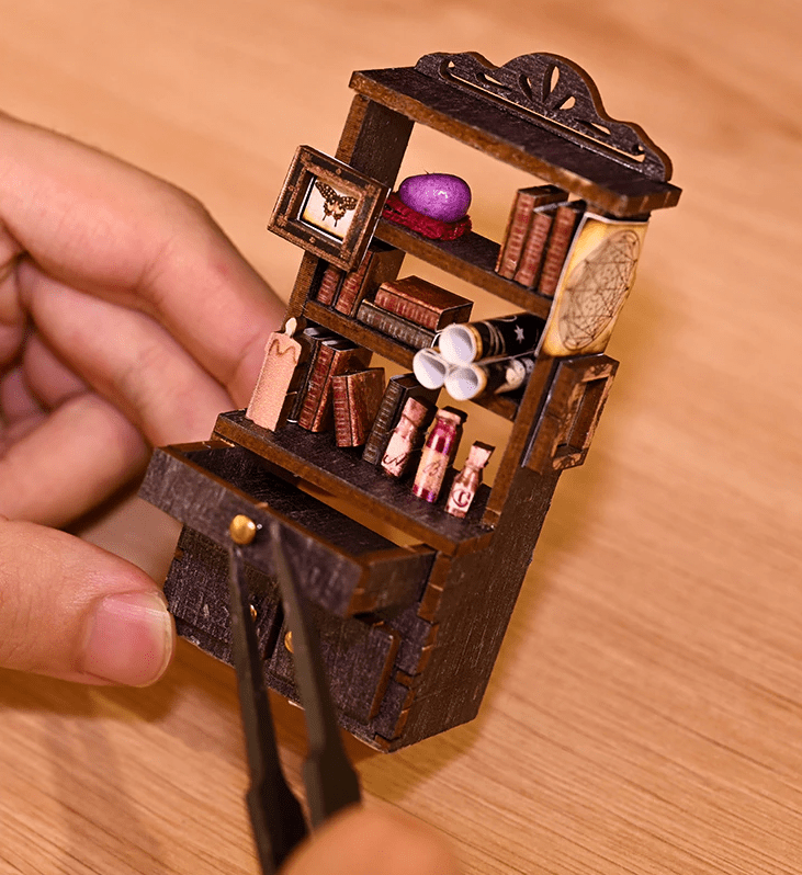 Coin livre à thème-La bibliothèque du savant