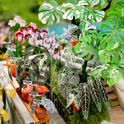 Maison miniature à faire soi-même Oasis d'oxygène