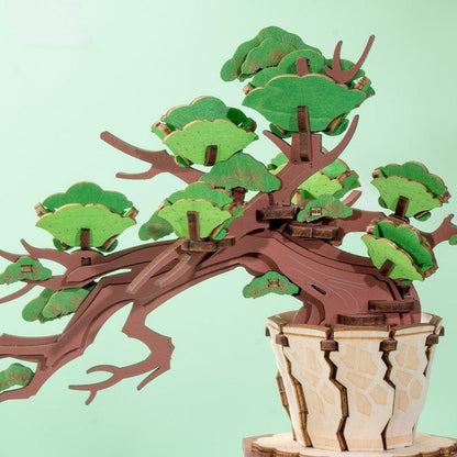 Kits Bonsai ZenBloom – Puzzle en Bois 3D